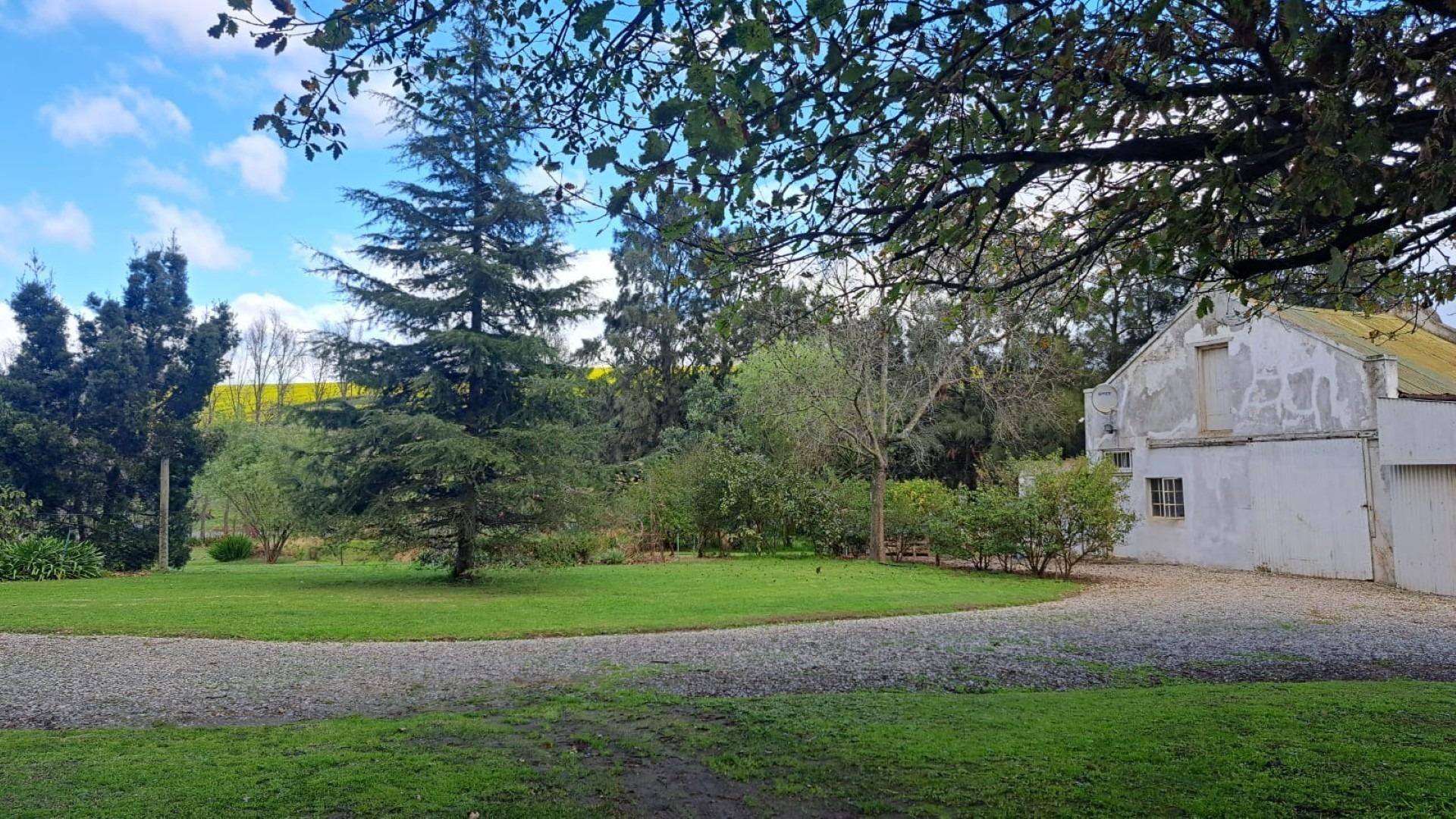 Image 35