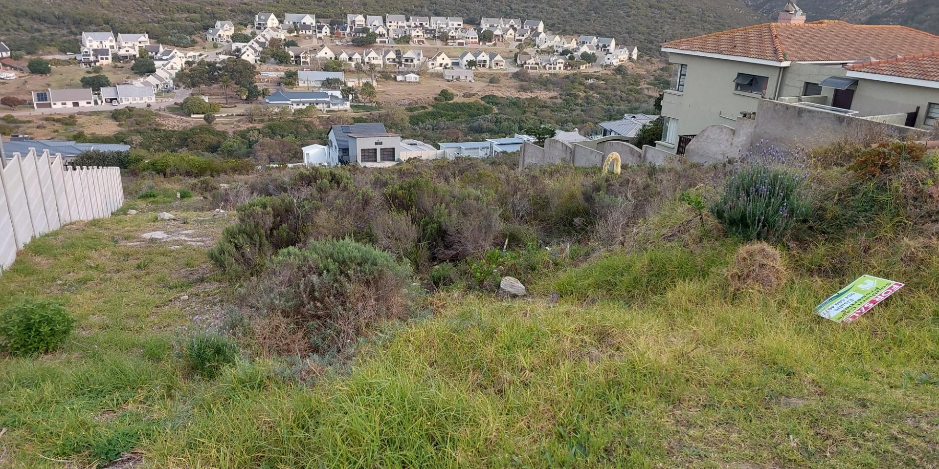 Image 4 of 6