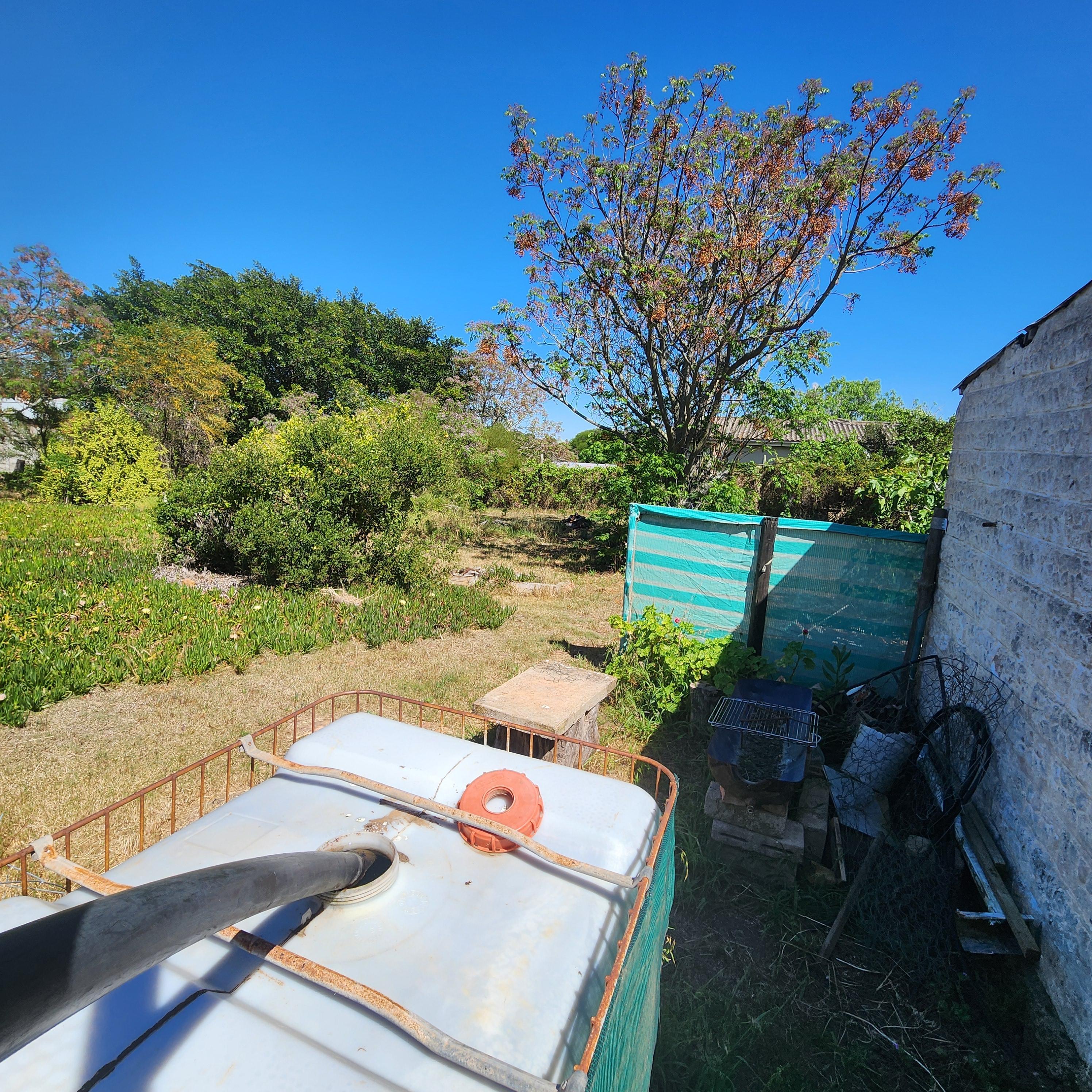 Image 13