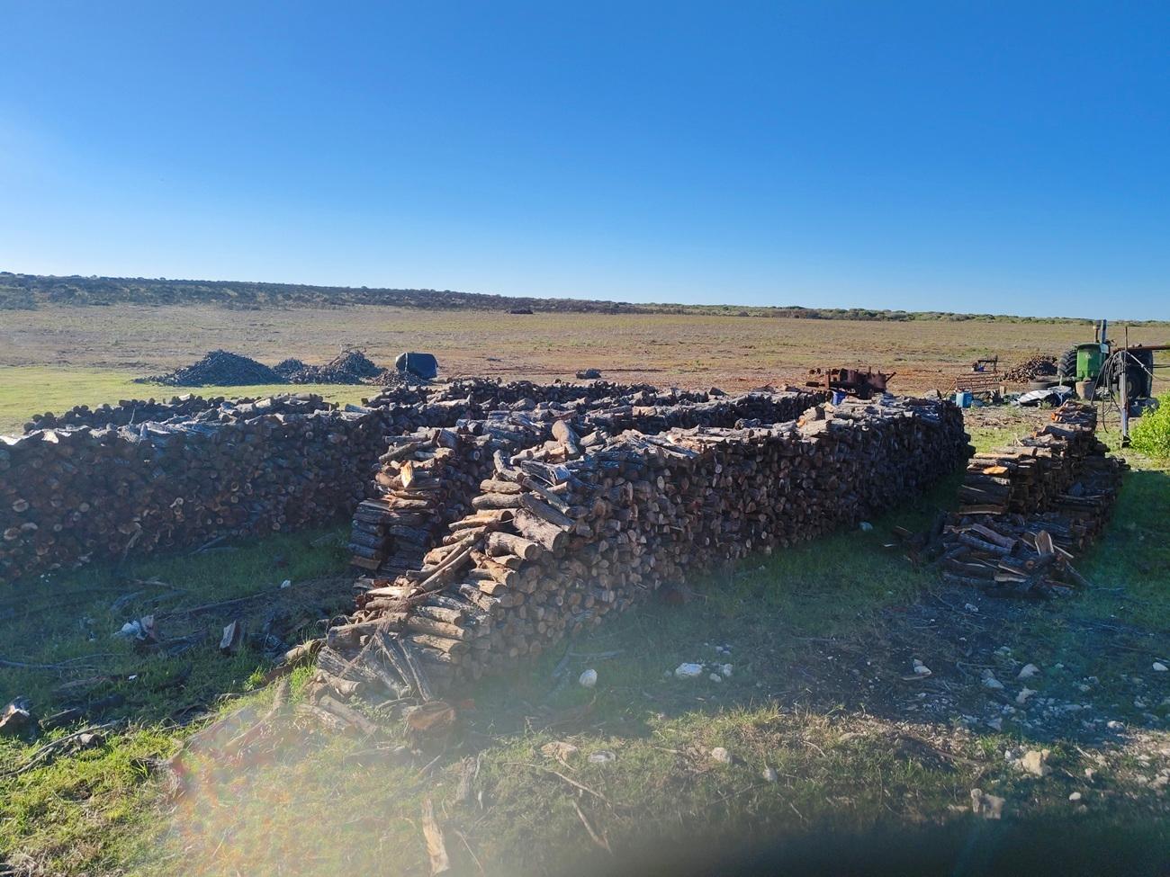 Image 14