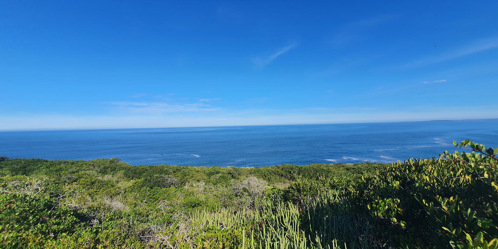 Image 5 of 6