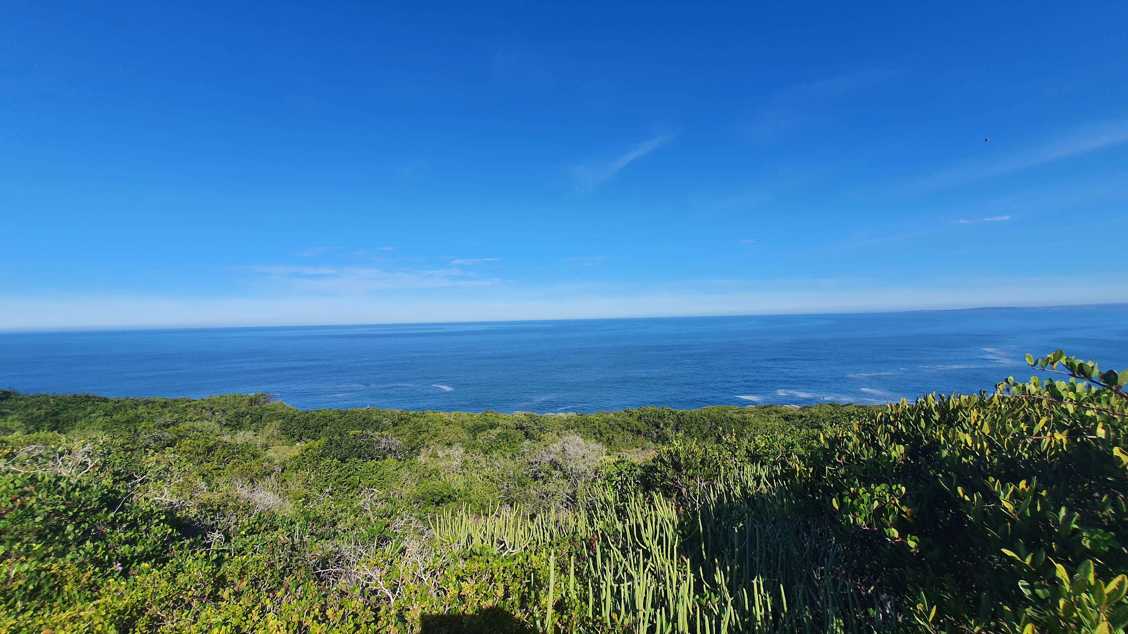 Image 5 of 6