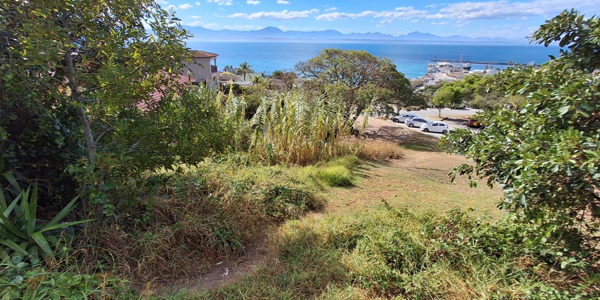 Image 5 of 6