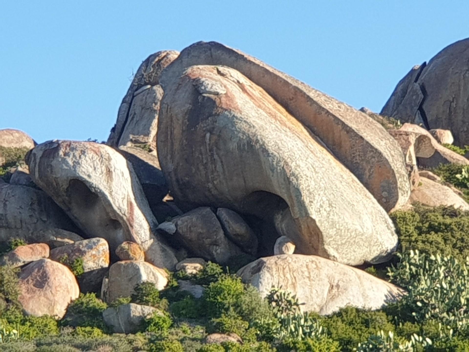 Image 12