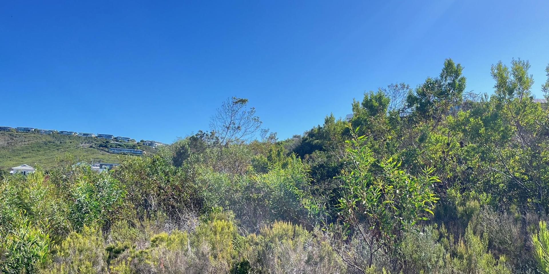 Image 5 of 6