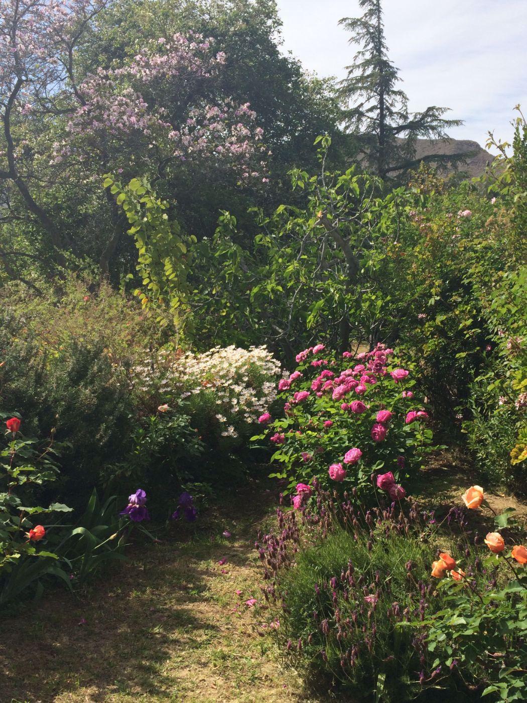 Image 20
