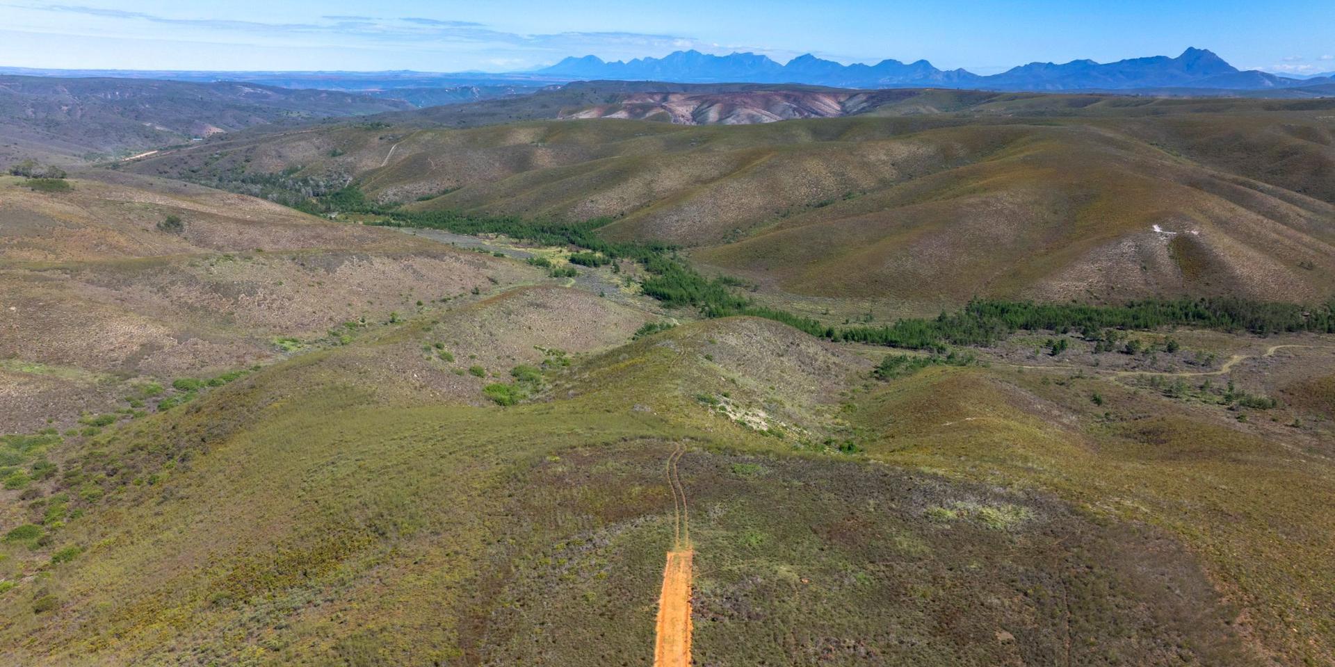Image 4 of 6