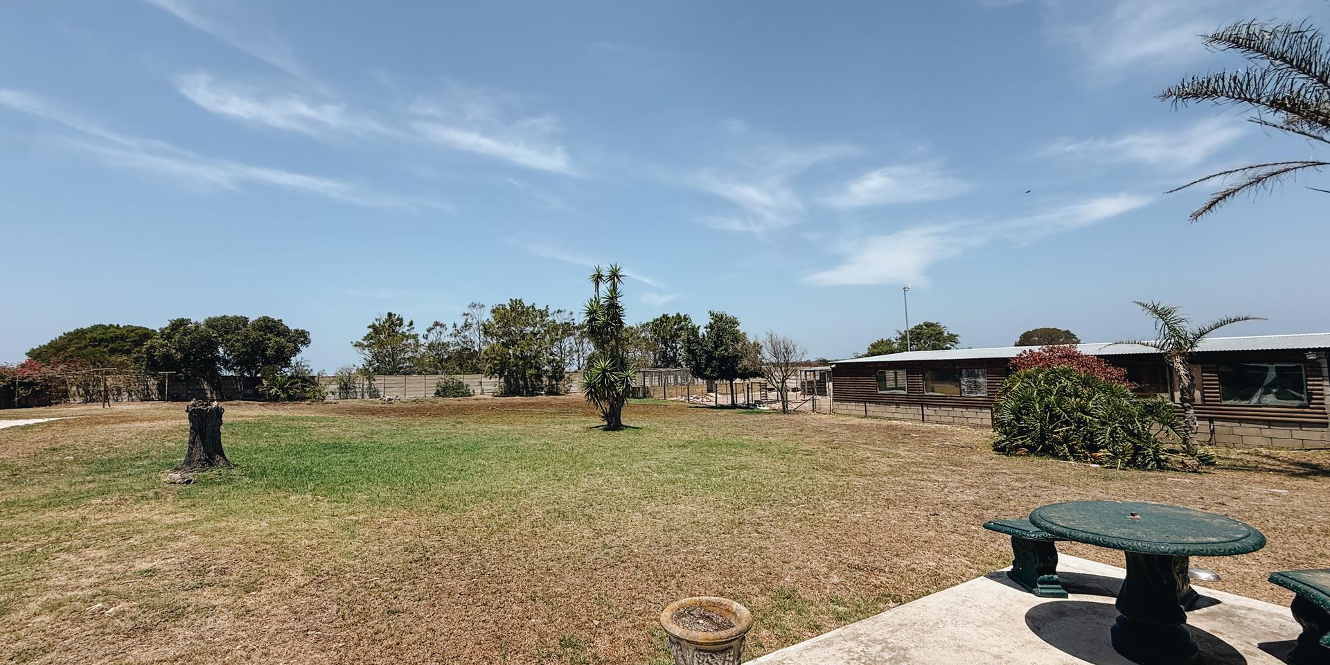 Image 3 of 6