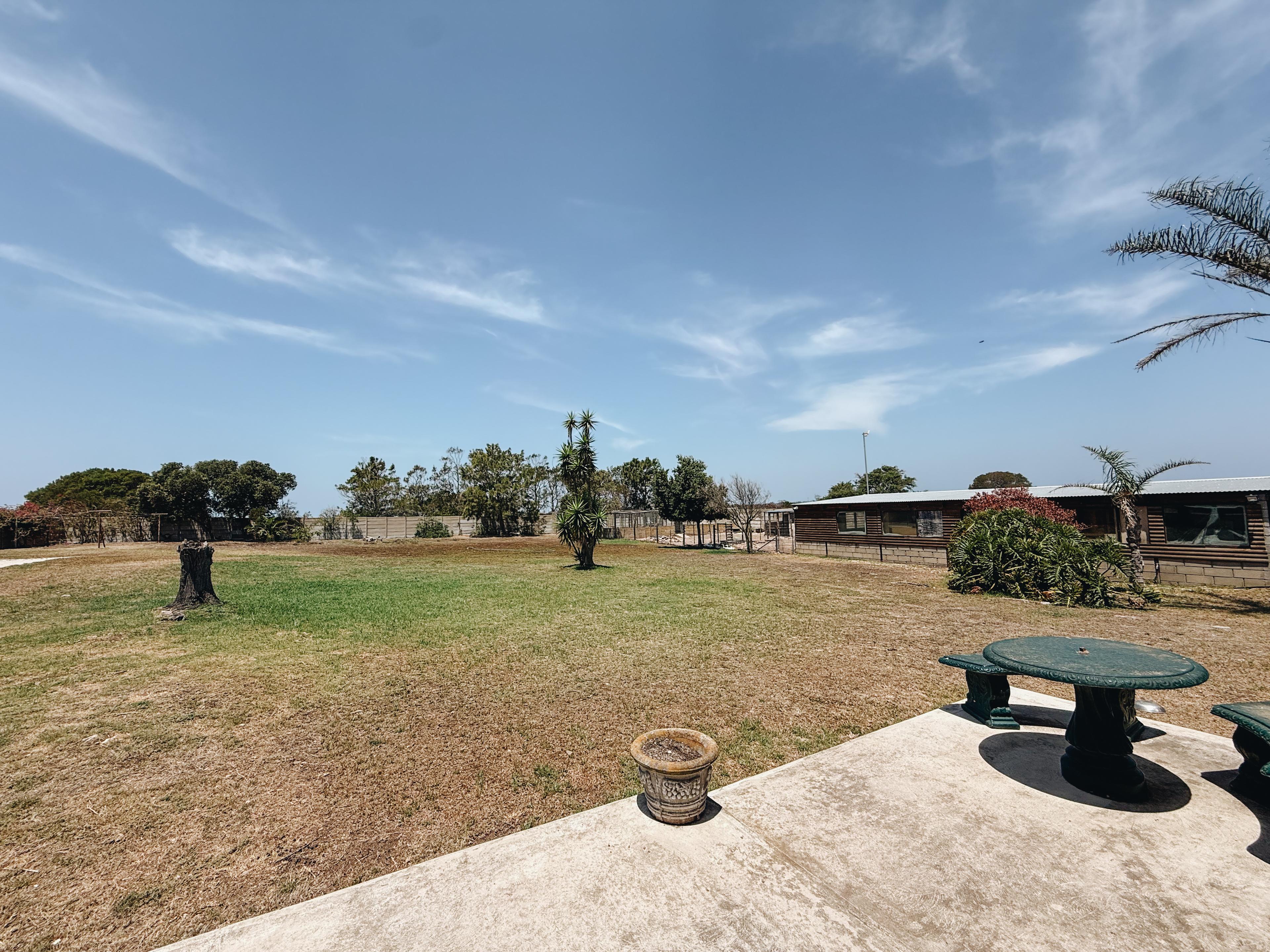 Image 3 of 6