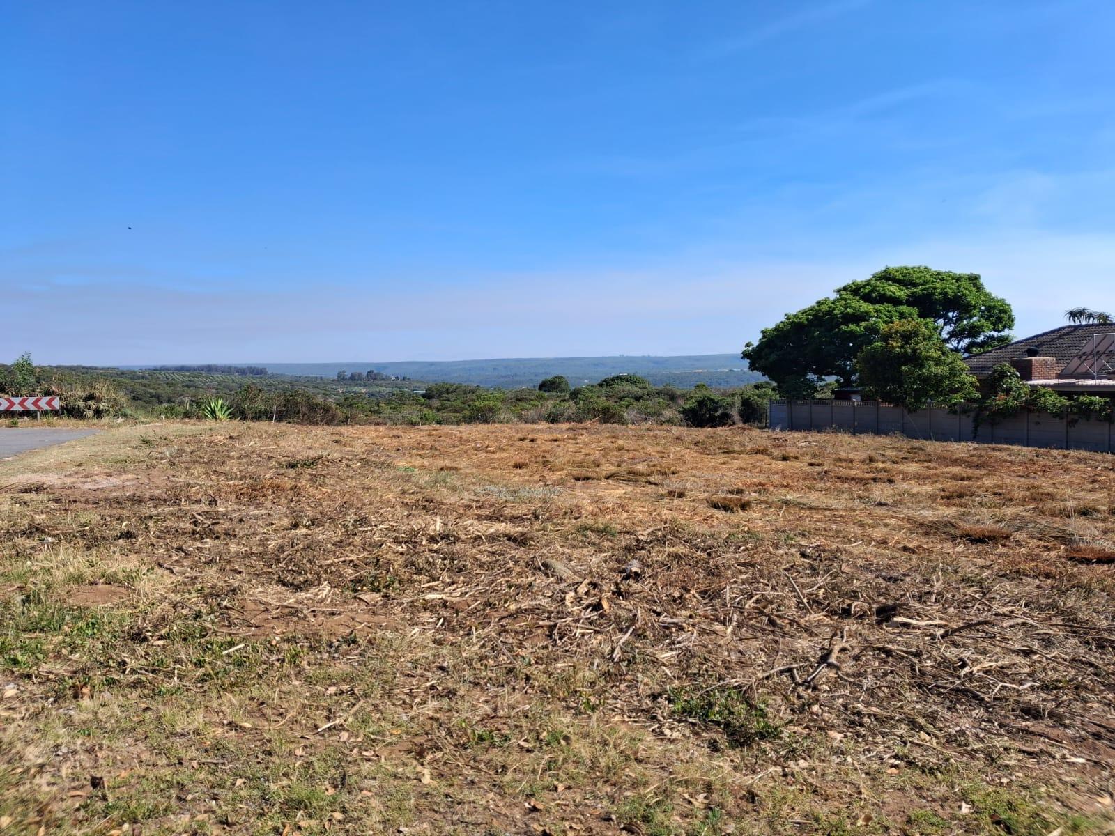 Image 4 of 6