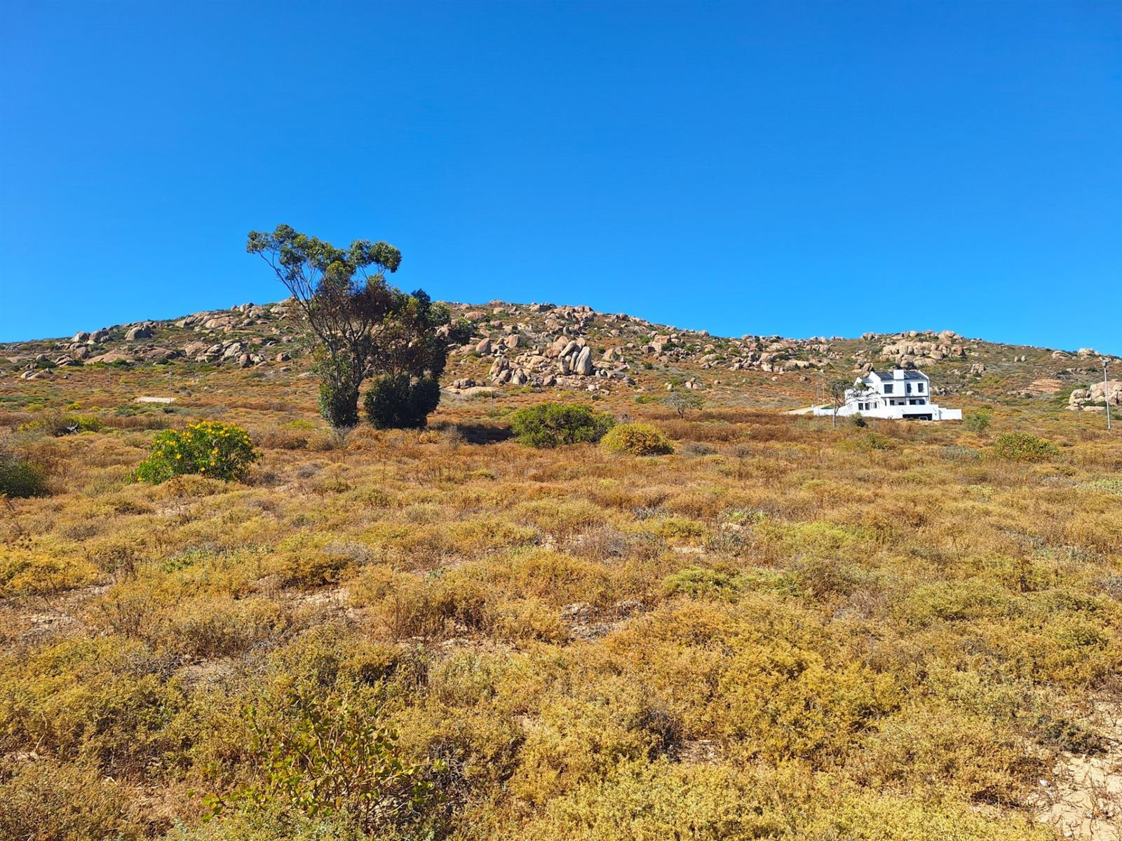 Image 10
