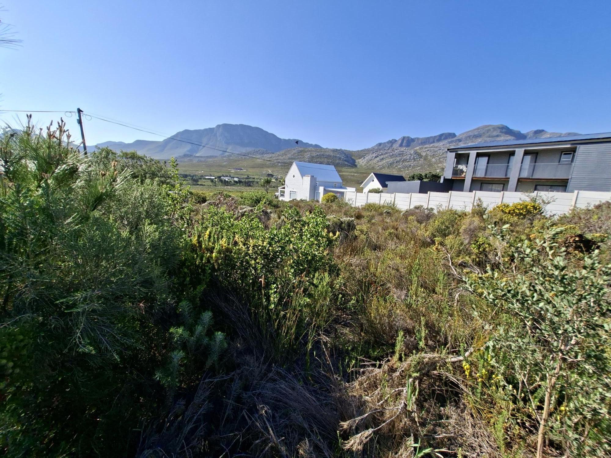 Image 3 of 6