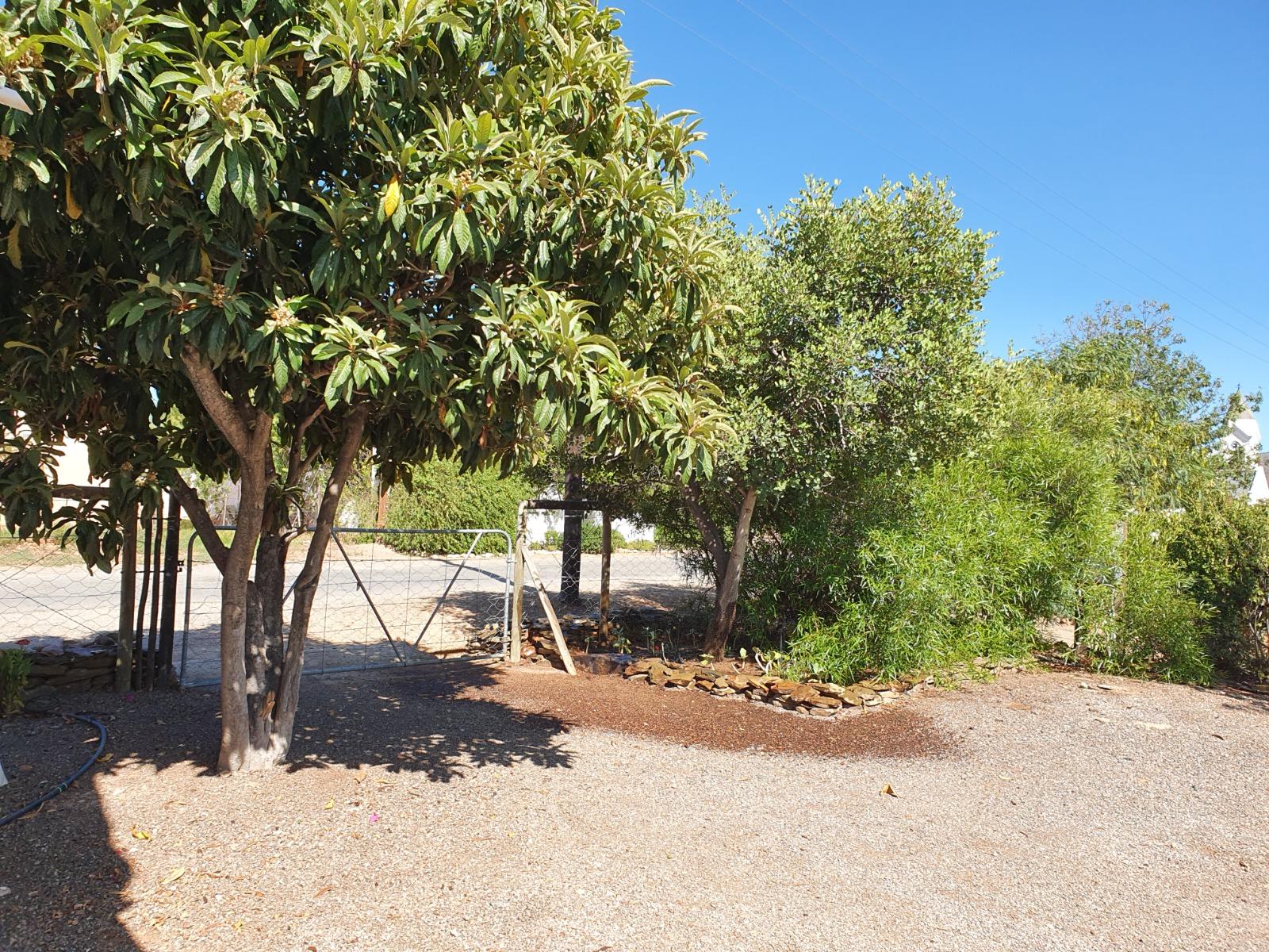 Image 15