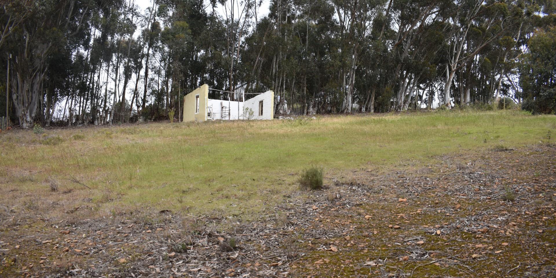 Image 2 of 6