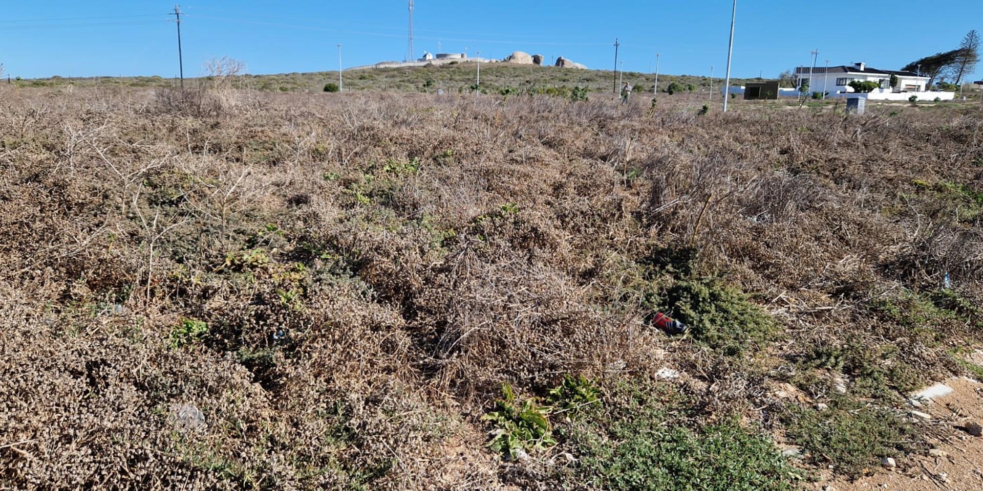 Image 3 of 6
