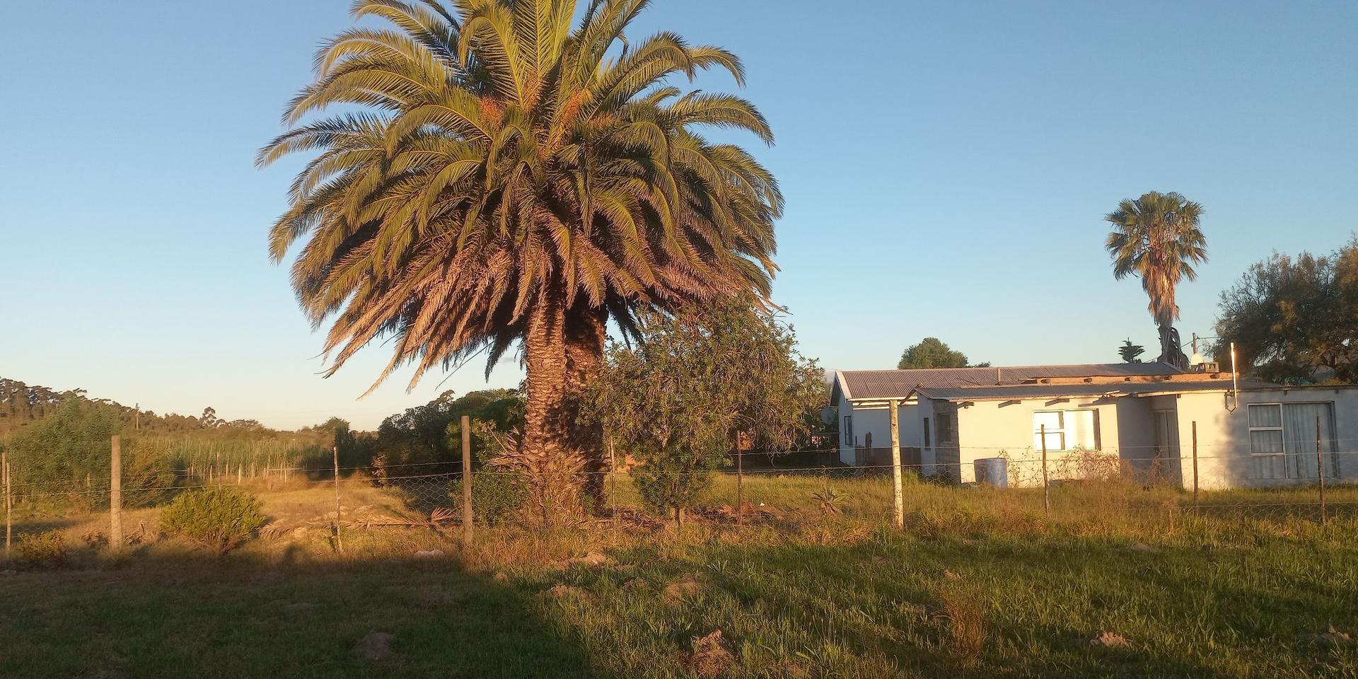 Image 4 of 6