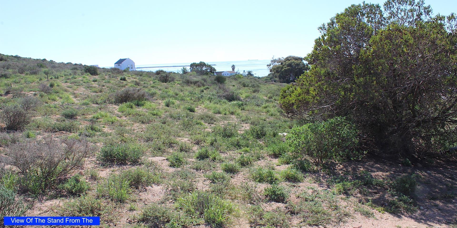 Image 5 of 6