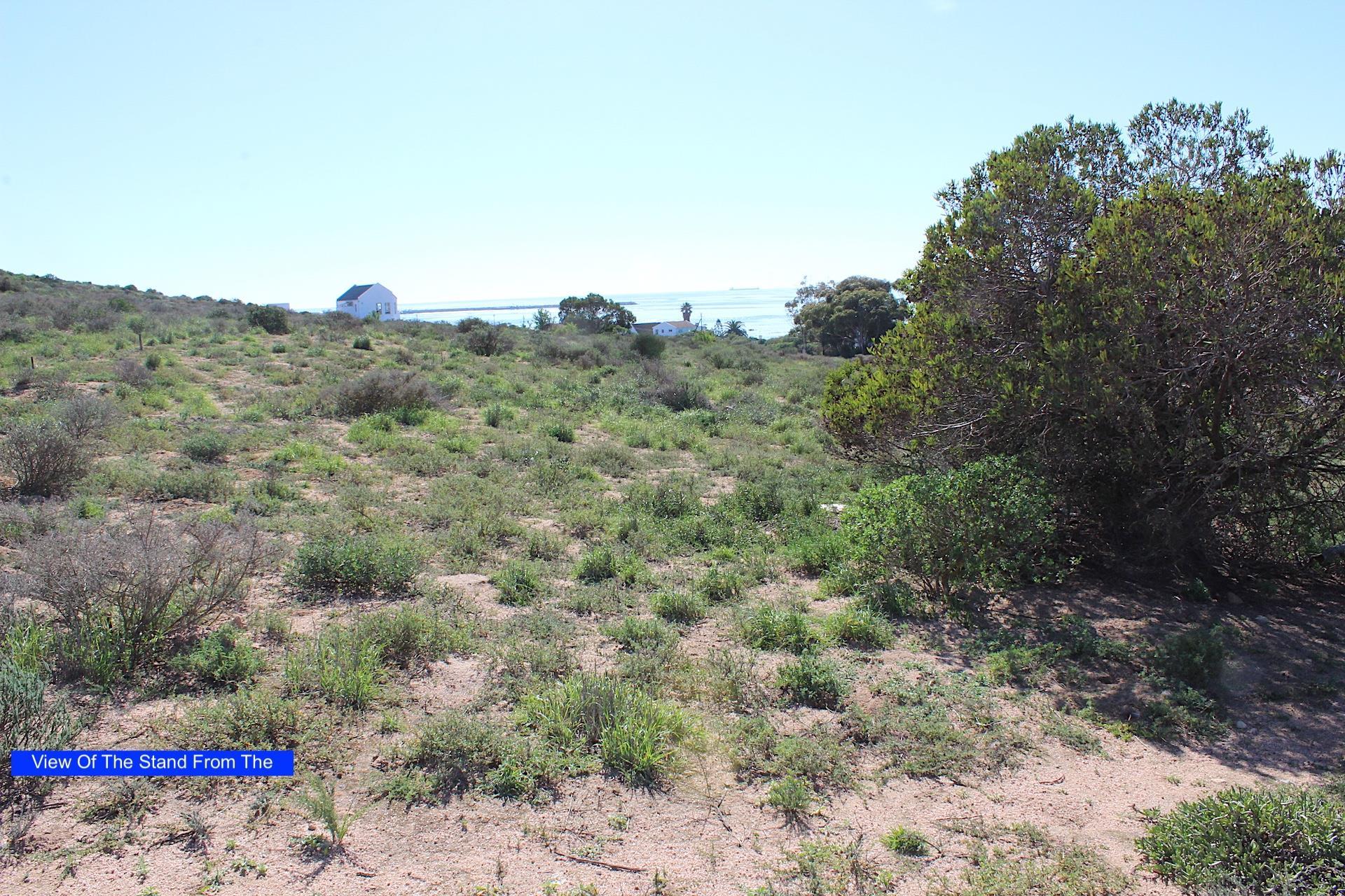 Image 5 of 6