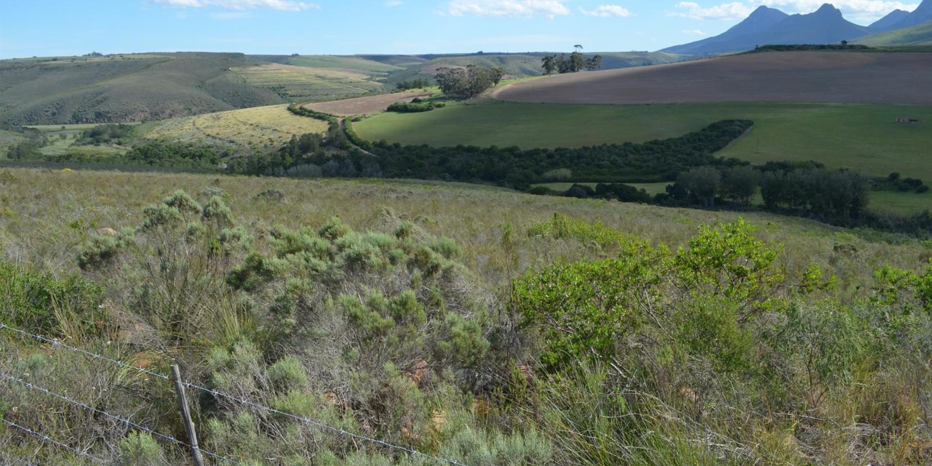 Image 4 of 6