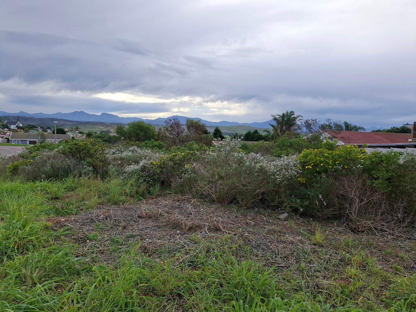 Image 5 of 6