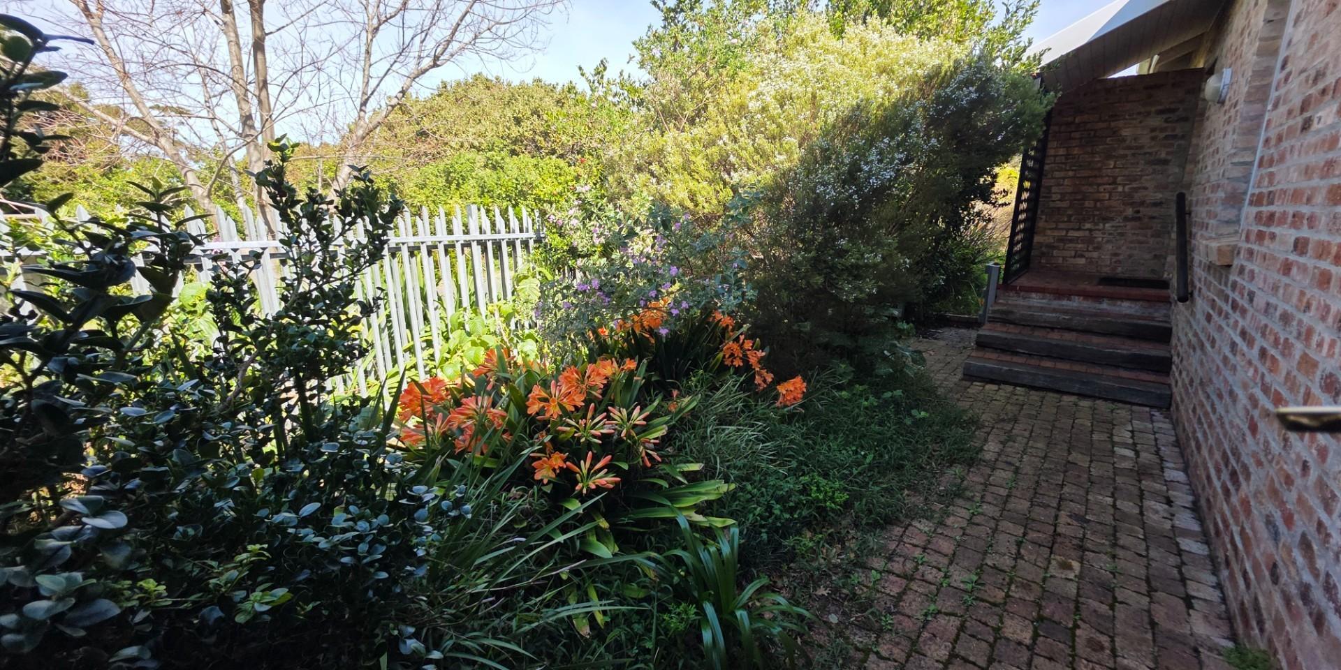 Image 4 of 6