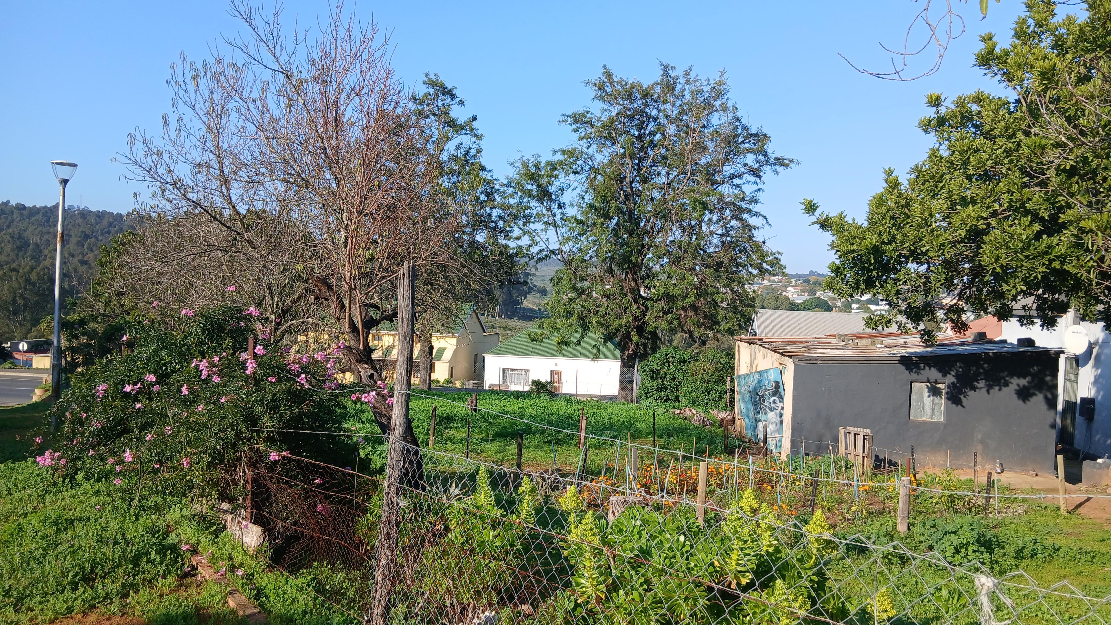 Image 5 of 6
