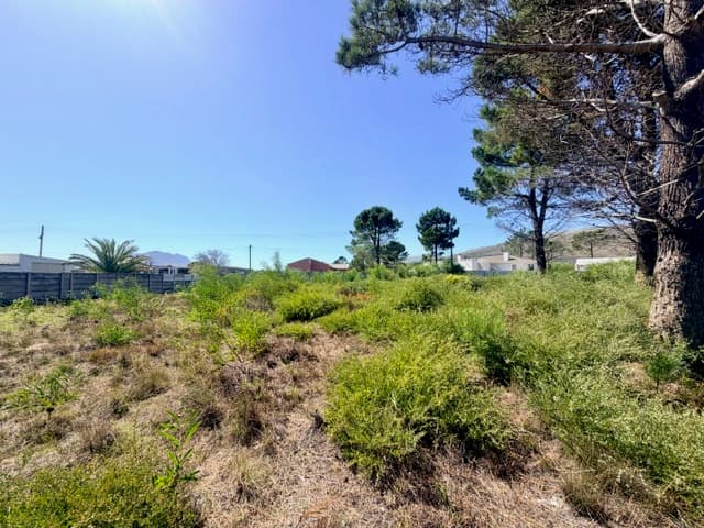 Image 8