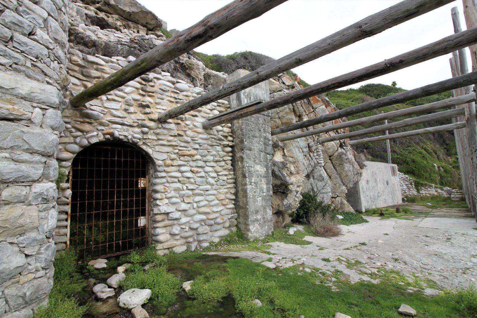 Image 10