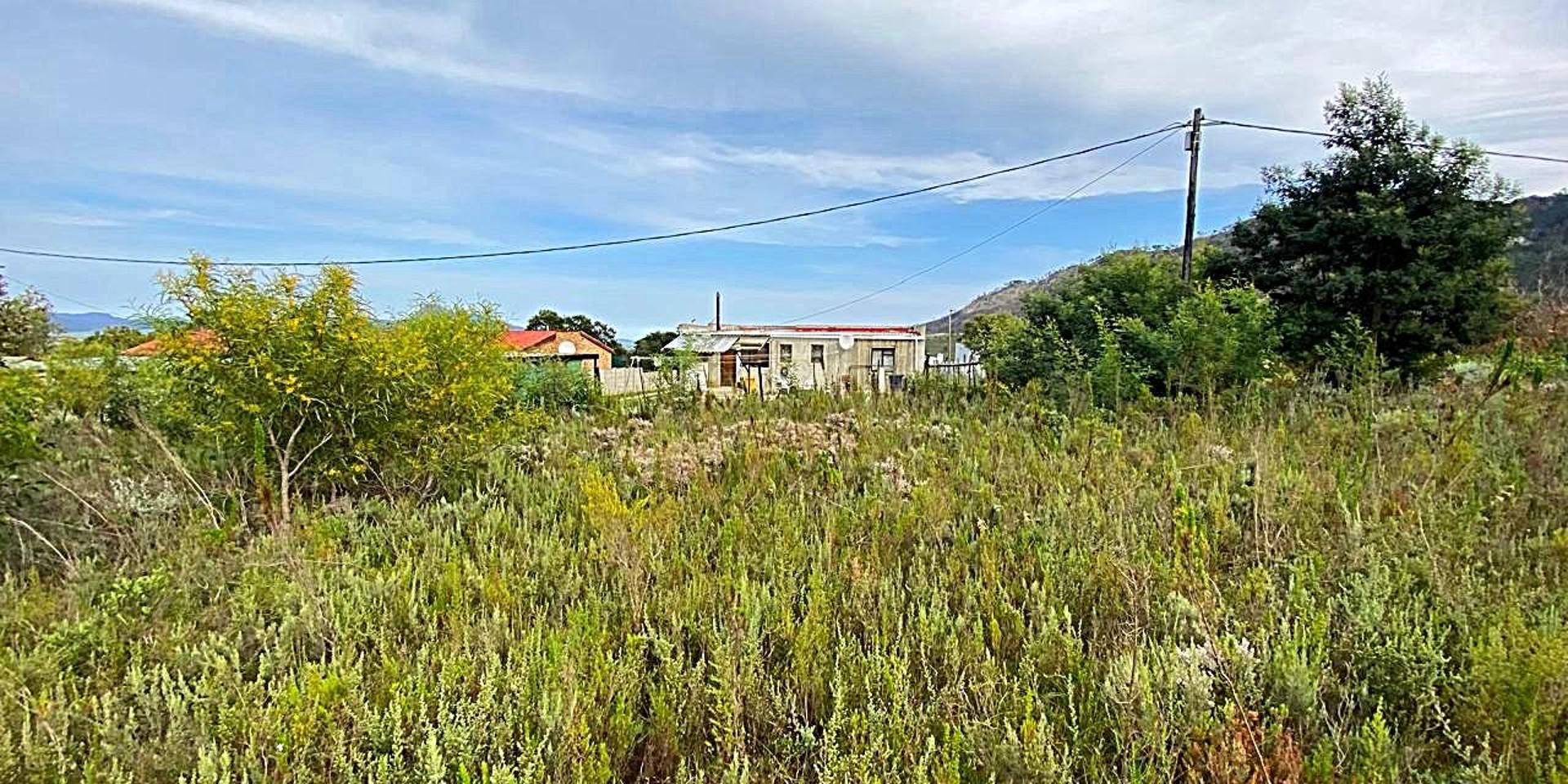 Image 4 of 6