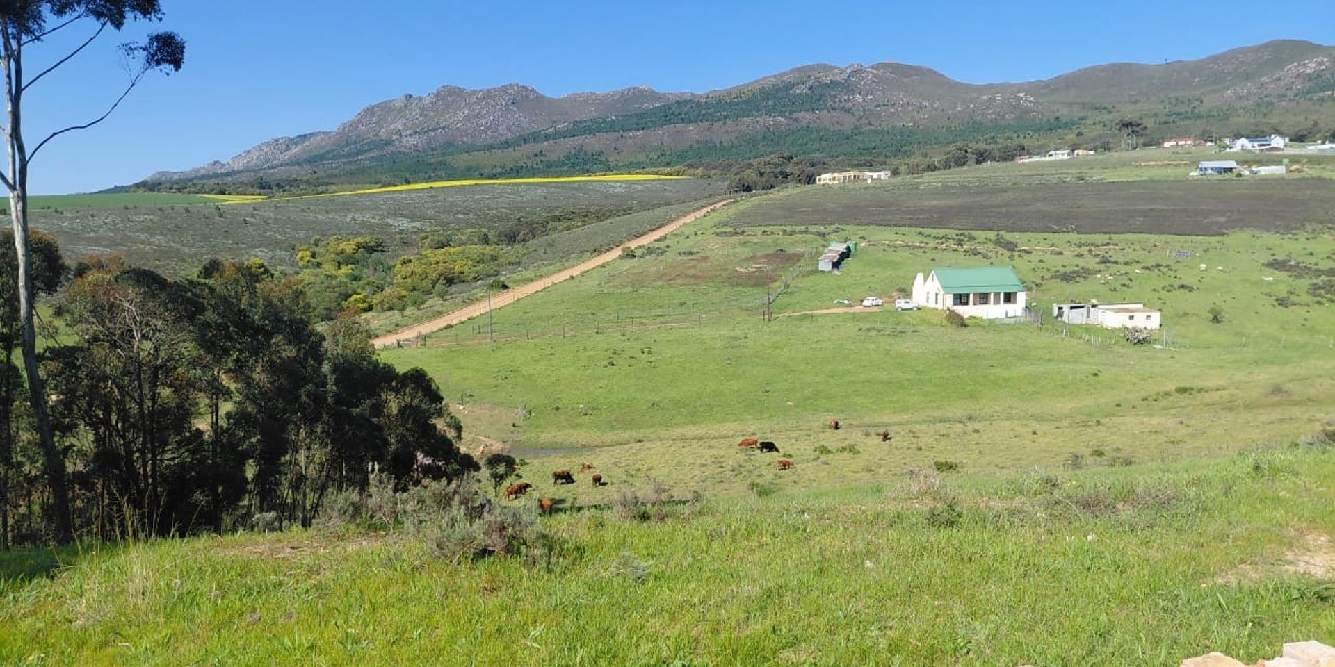 Image 4 of 6