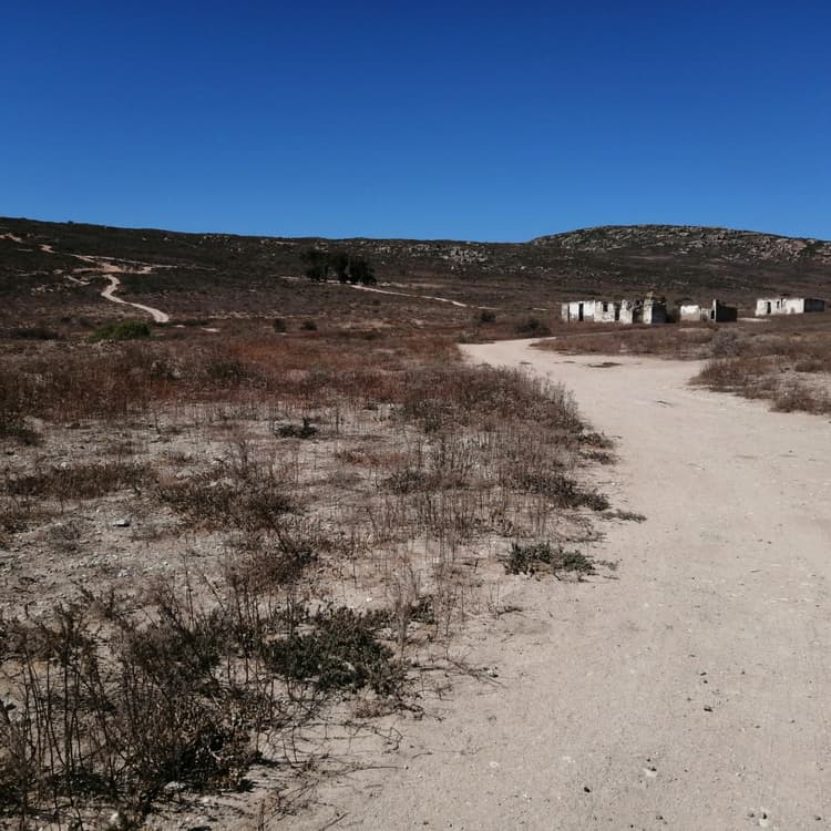 Main property image