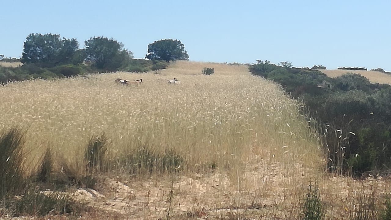 Image 12