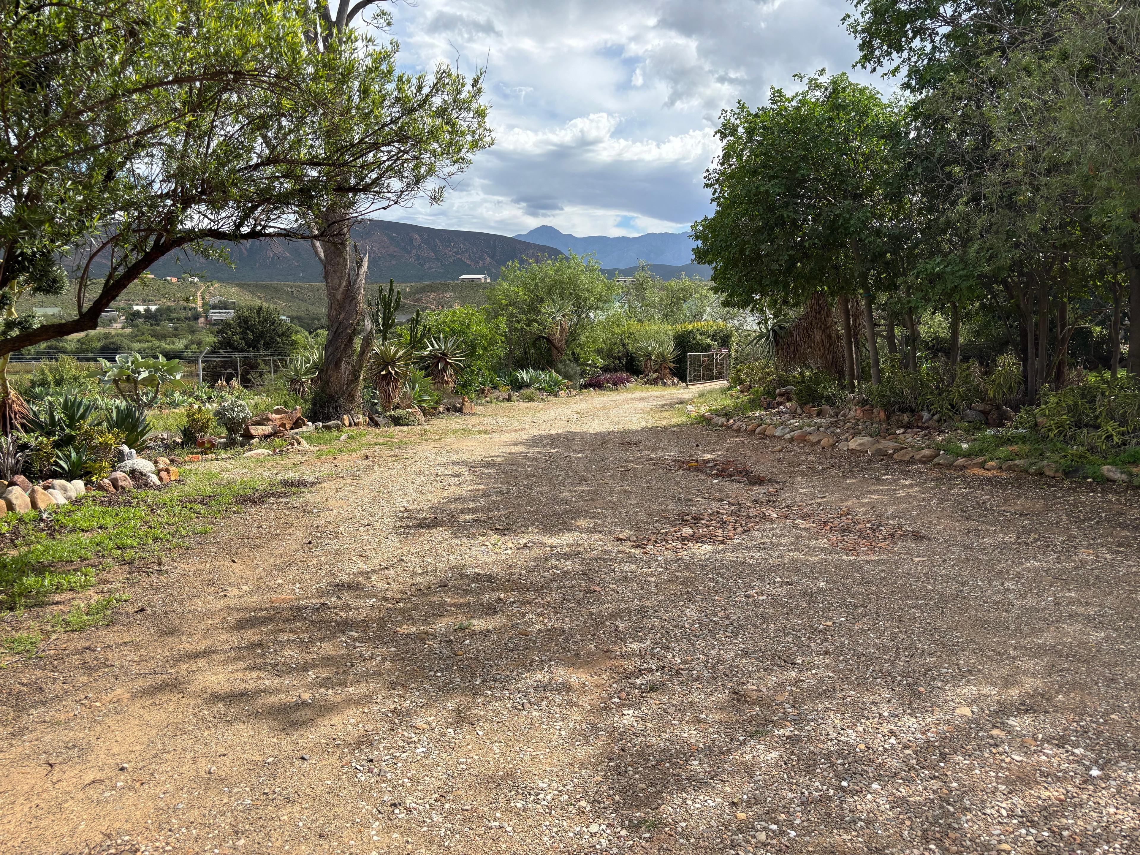 Image 15