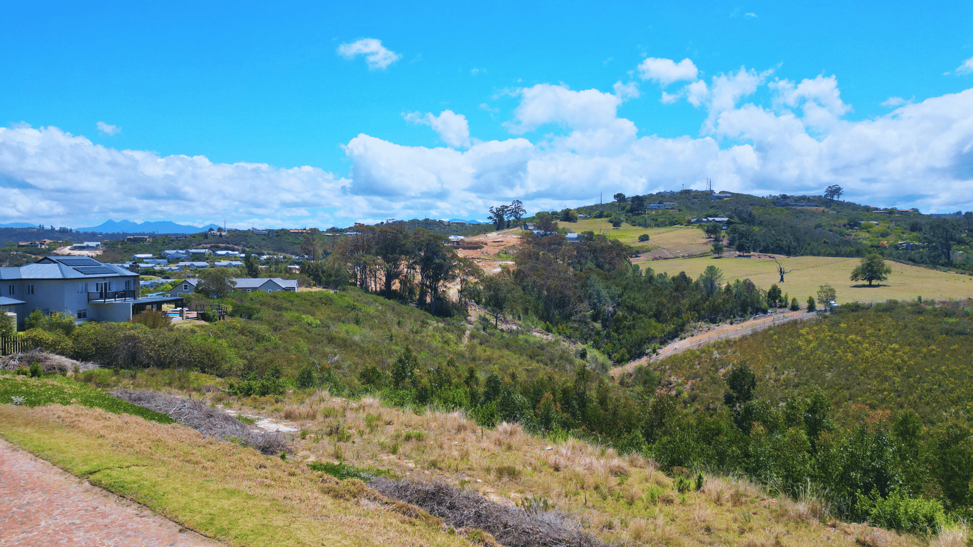 Image 13