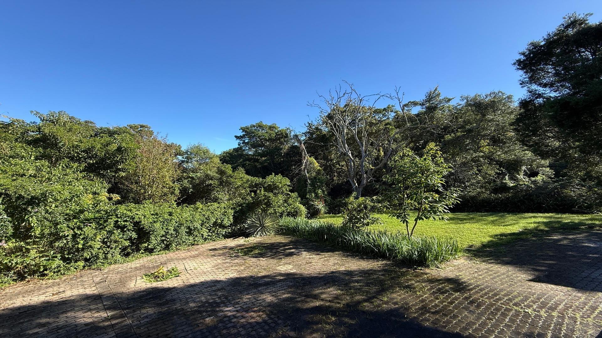 Image 5 of 6