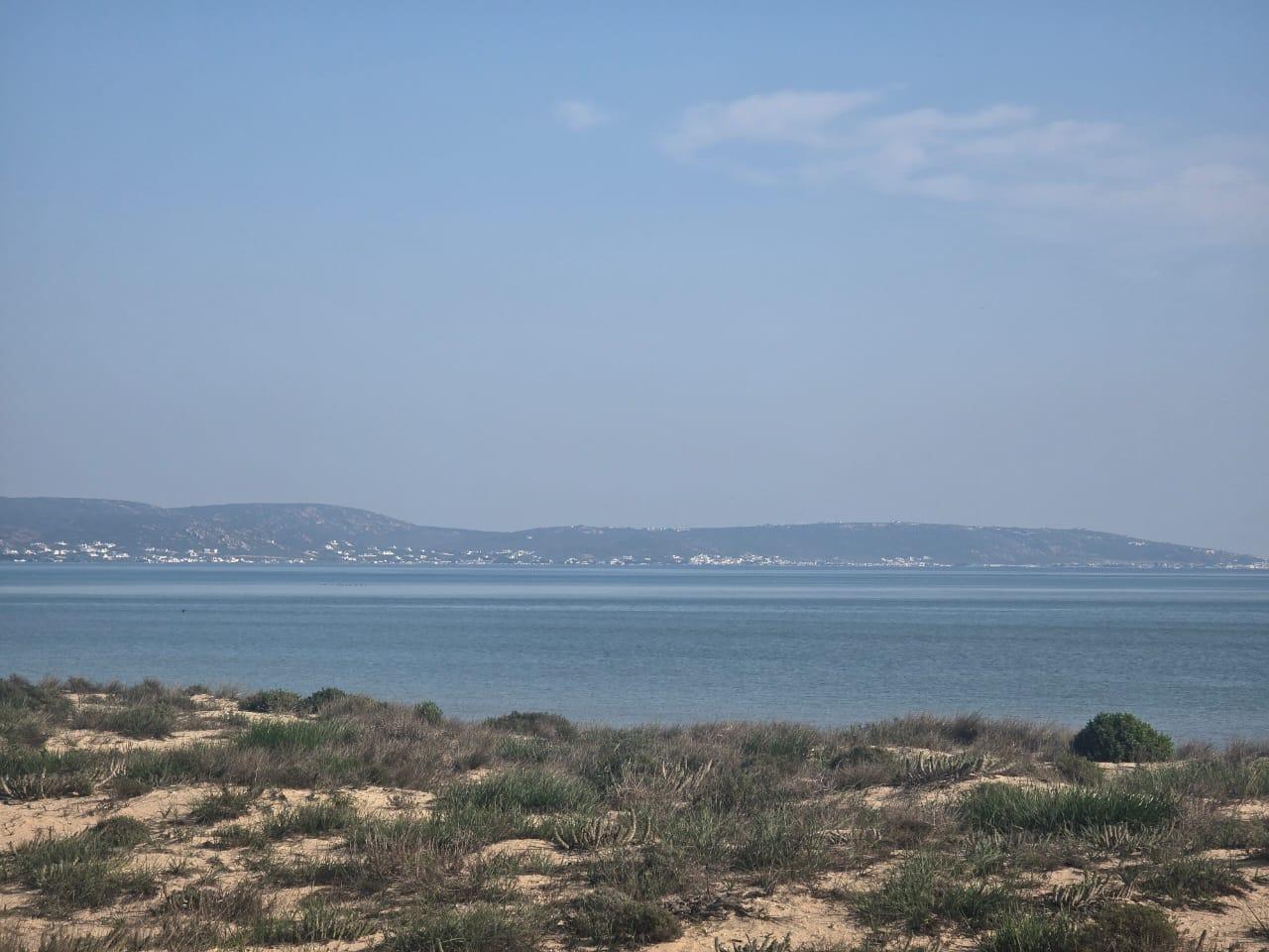 Image 2 of 6