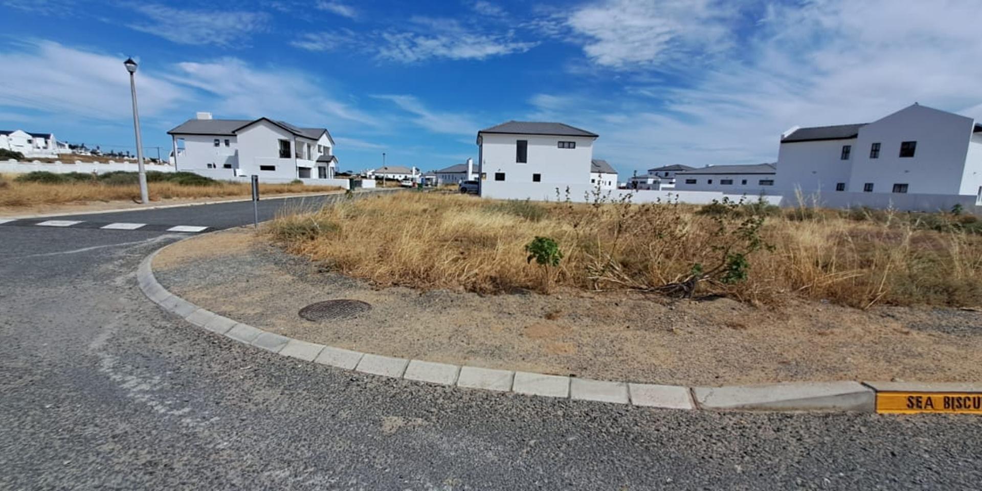 Image 4 of 6
