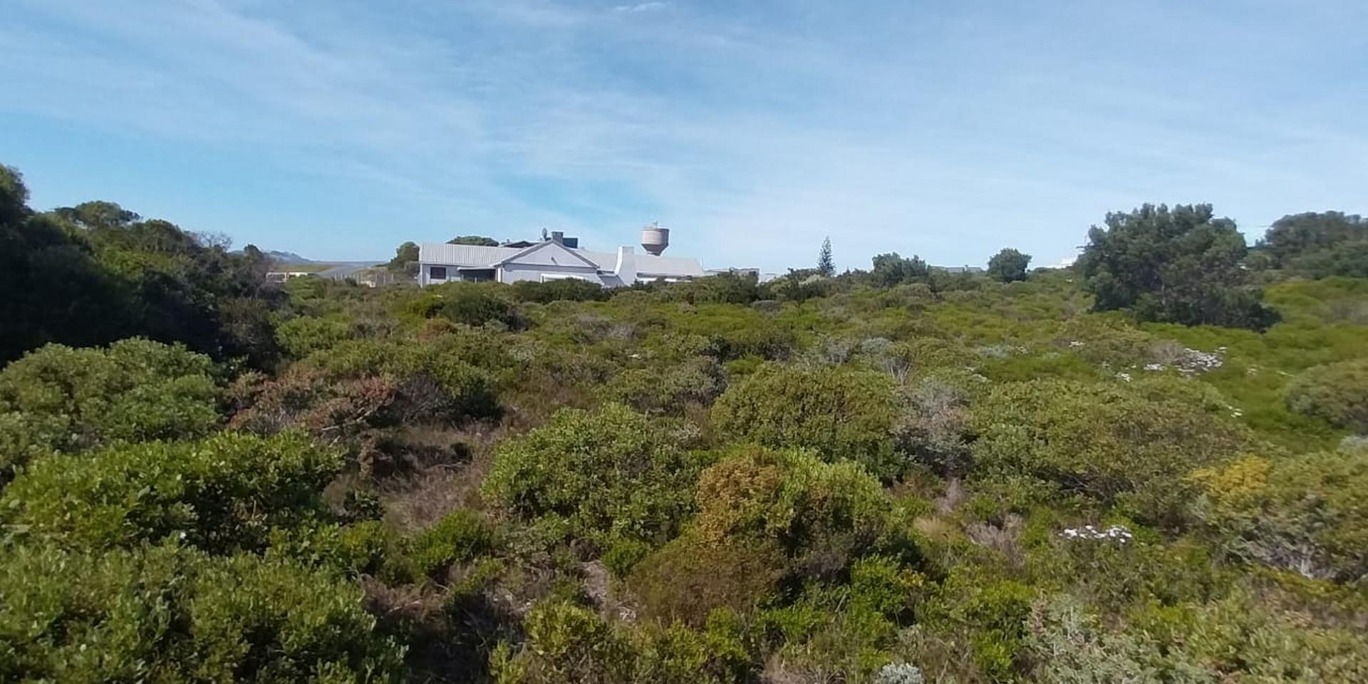 Image 5 of 6