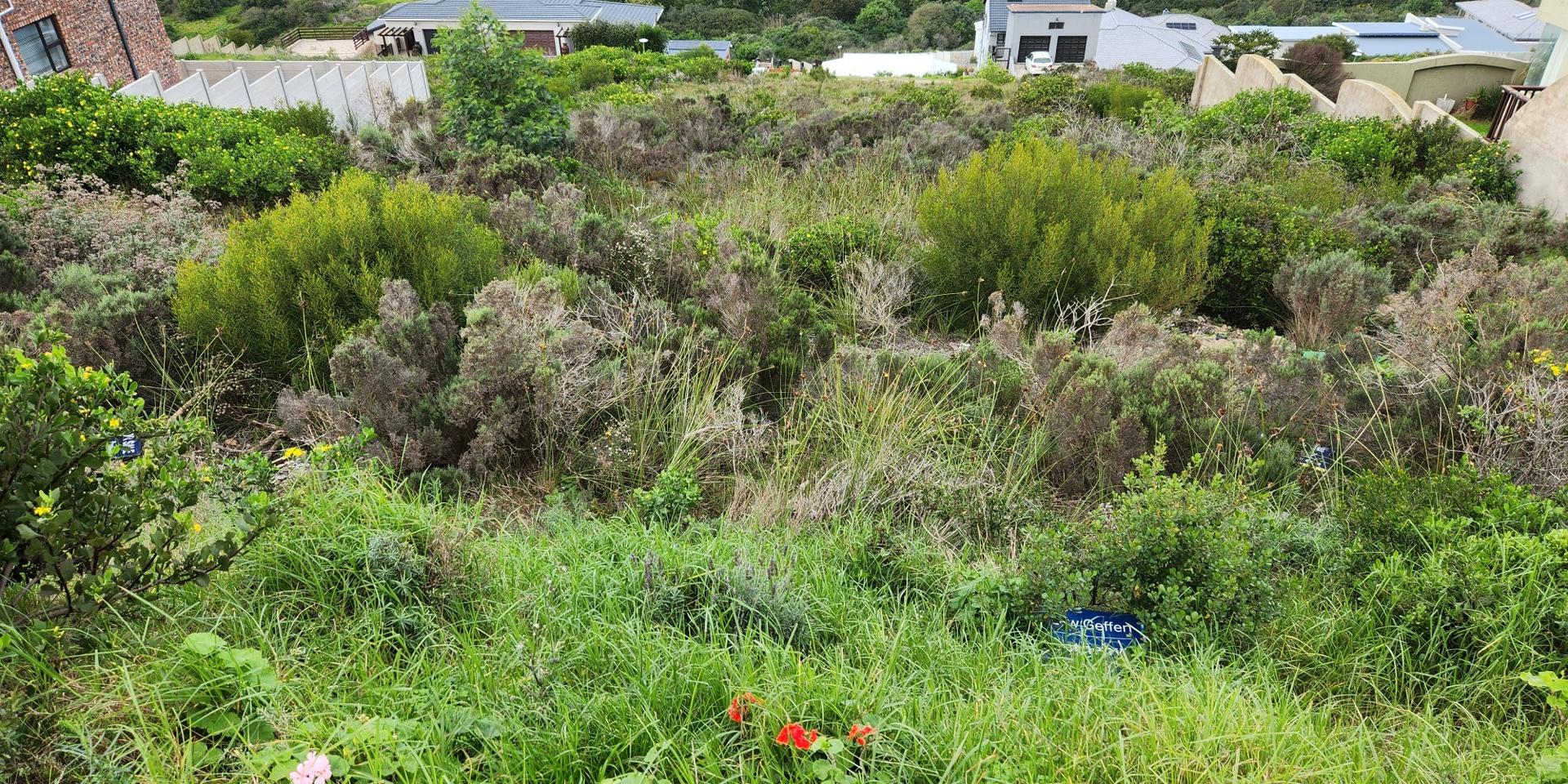 Image 2 of 6