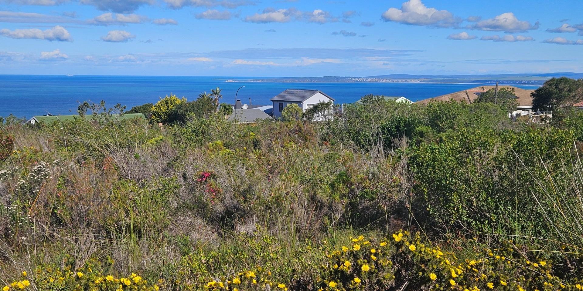 Image 4 of 6