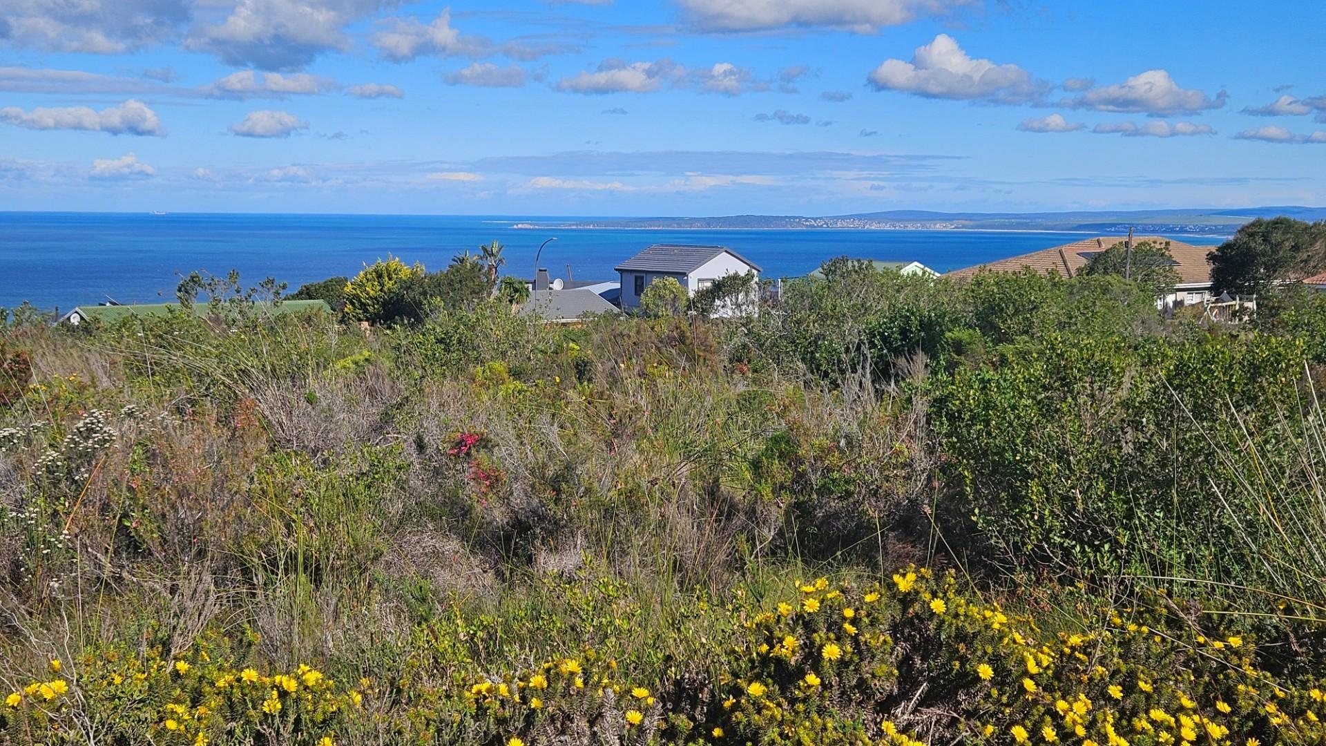 Image 4 of 6