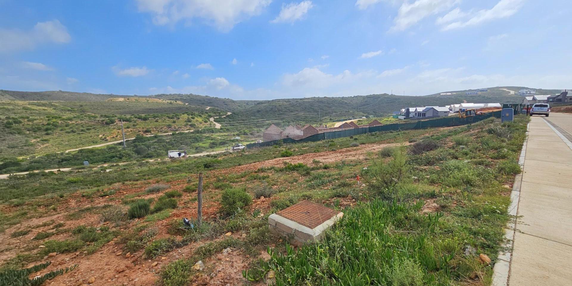Image 4 of 6