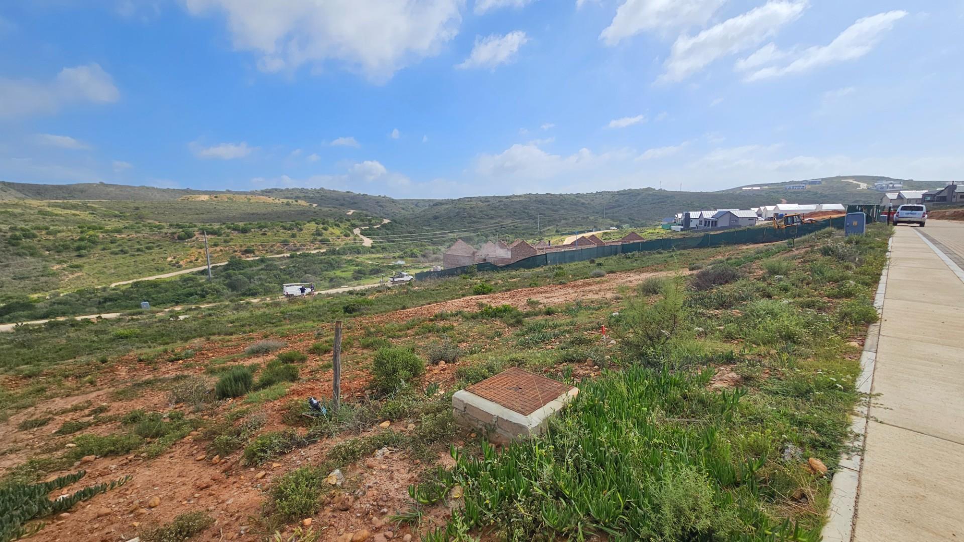 Image 4 of 6