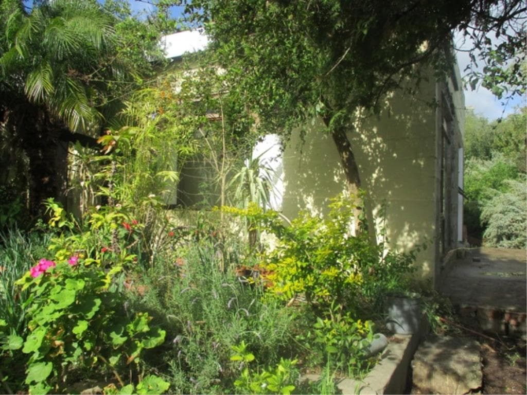 Image 19