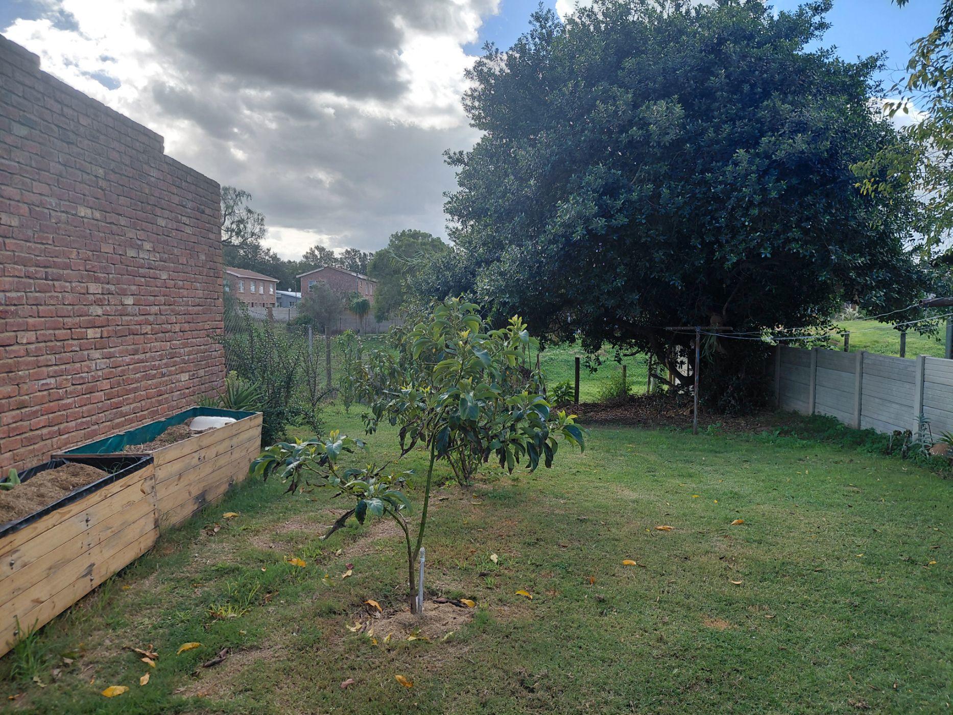 Image 30