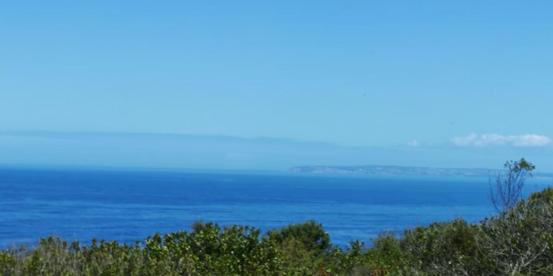 Image 3 of 6