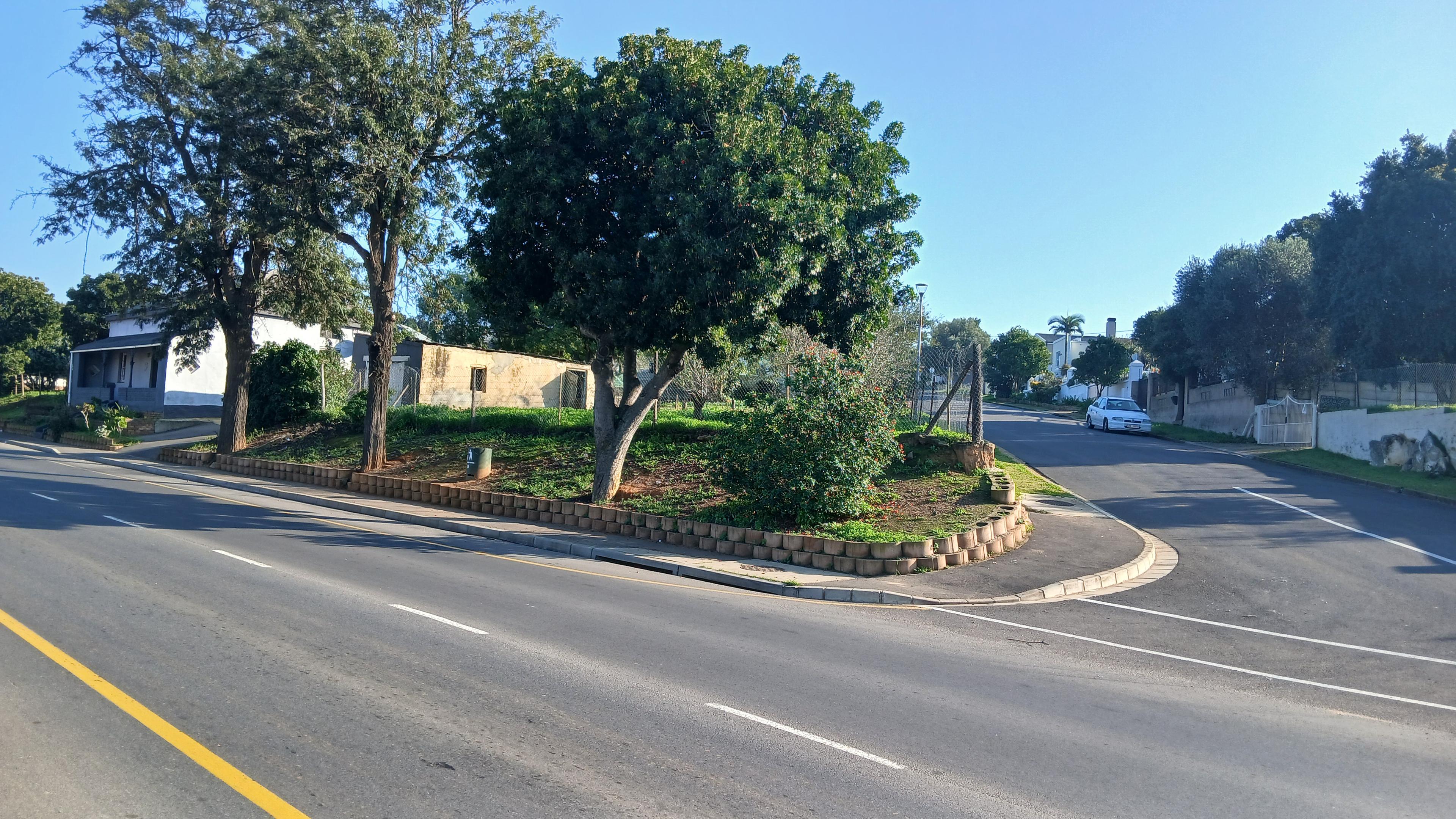 Image 3 of 6
