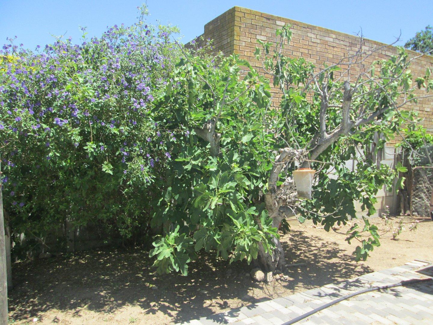 Image 13