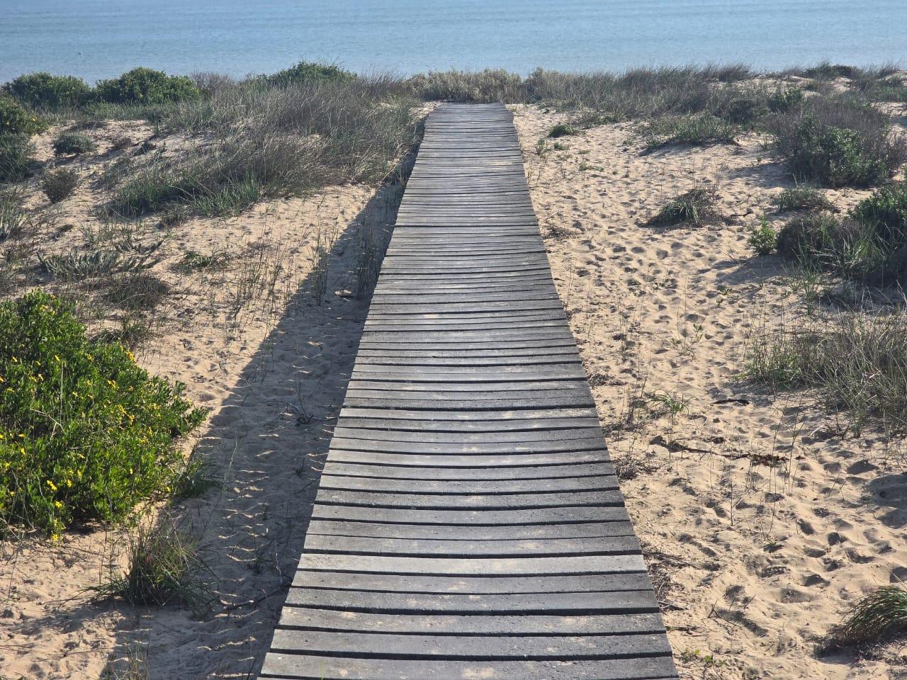 Image 17