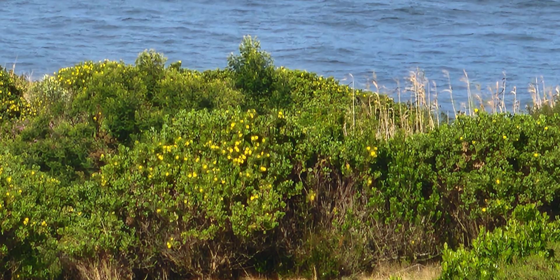 Image 5 of 6